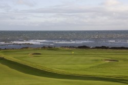 Crail